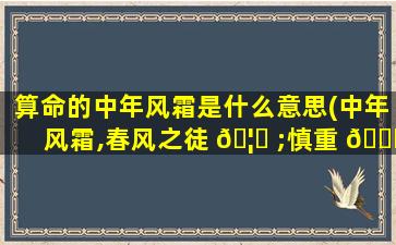 算命的中年风霜是什么意思(中年风霜,春风之徒 🦍 ;慎重 💐 守护已成之事业)